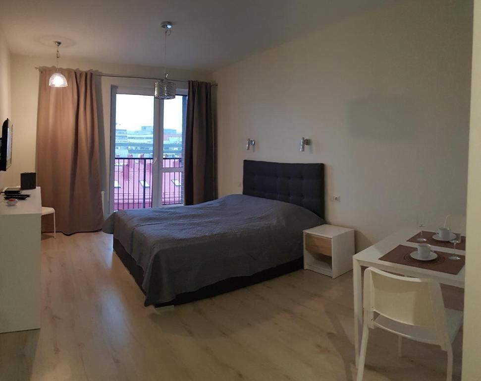 Апартаменты Cozy Double Apartment in Vilnius Вильнюс