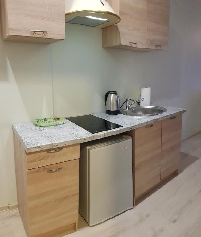 Апартаменты Cozy Double Apartment in Vilnius Вильнюс