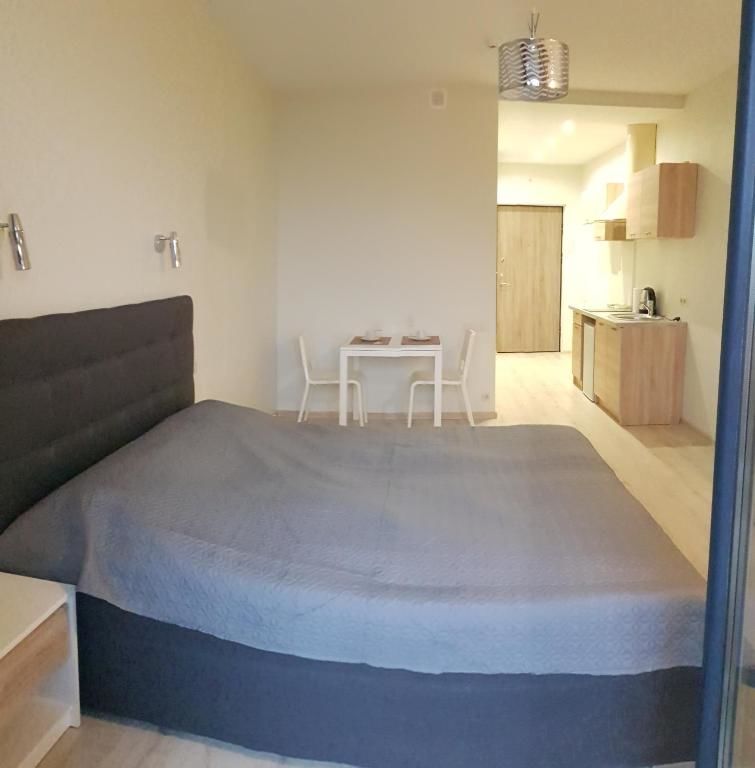 Апартаменты Cozy Double Apartment in Vilnius Вильнюс