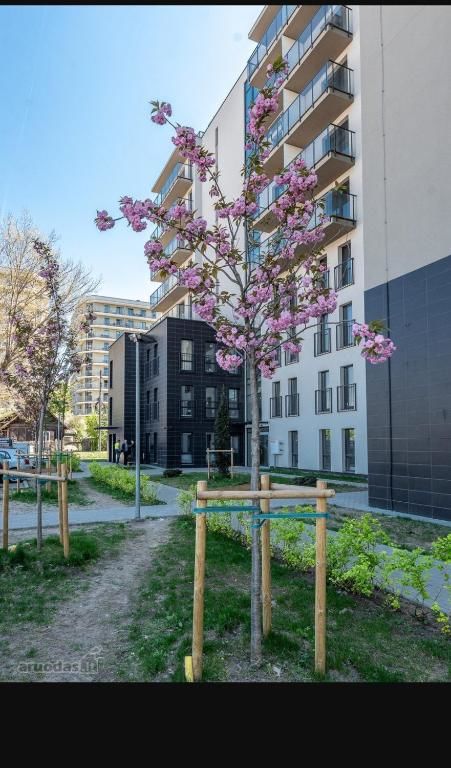 Апартаменты Cozy Double Apartment in Vilnius Вильнюс